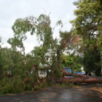 Screenshot 2026-01-07 at 22-55-00 La Municipalidad despliega equipos en distintas zonas de la ciudad ante la tormenta – Noticias