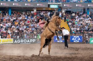 WhatsApp Image 2026-01-14 at 23.46.00