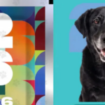 Lanzaron “figuritas del Mundial” con imágenes de perros rescatados para promover la adopción