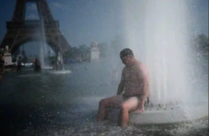 Ola de calor en Europa: más de 1300 muertes vinculadas a las temperaturas extremas en una semana